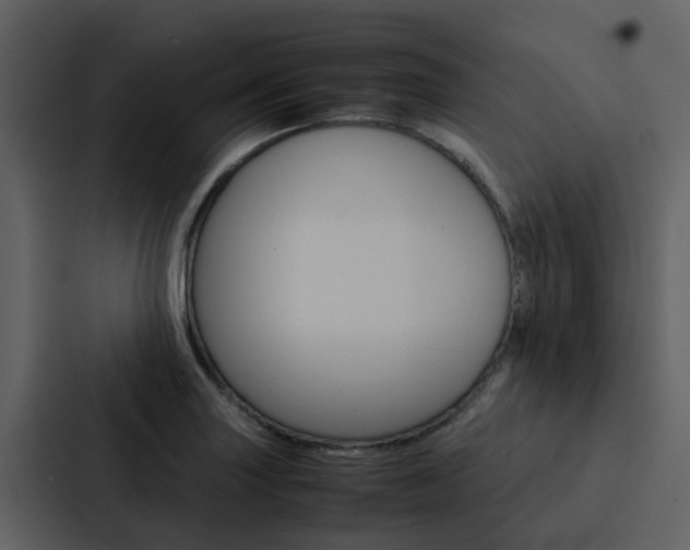 X0000088151227200705141045
