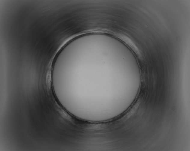 X0000088151228200705141045