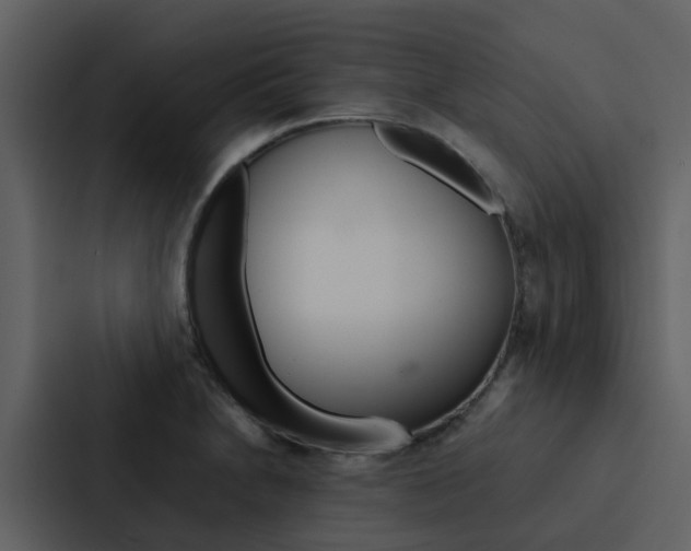 X0000088151230200705141045