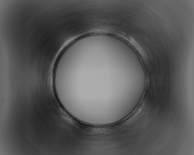 X0000088151232200705141045