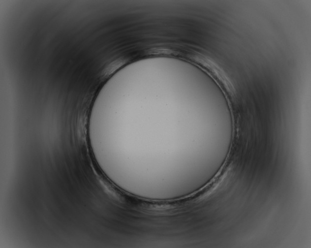 X0000088151233200705141045