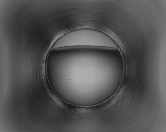 X0000088151234200705141045