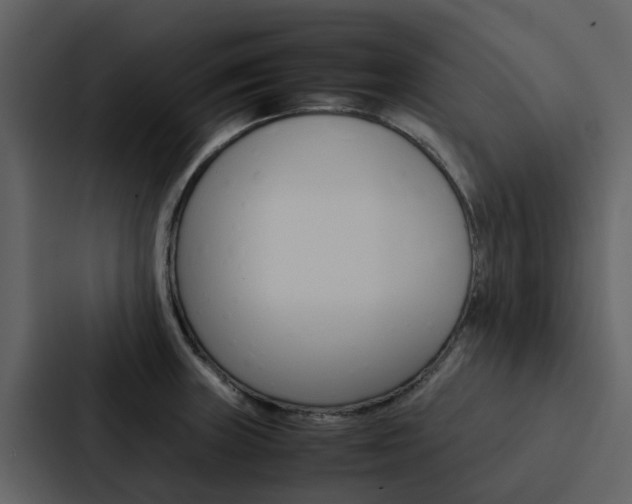 X0000088151235200705141045