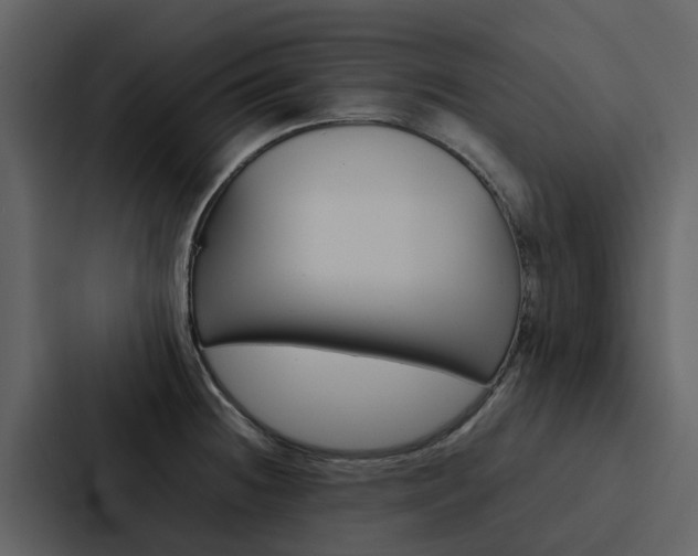 X0000088151236200705141045