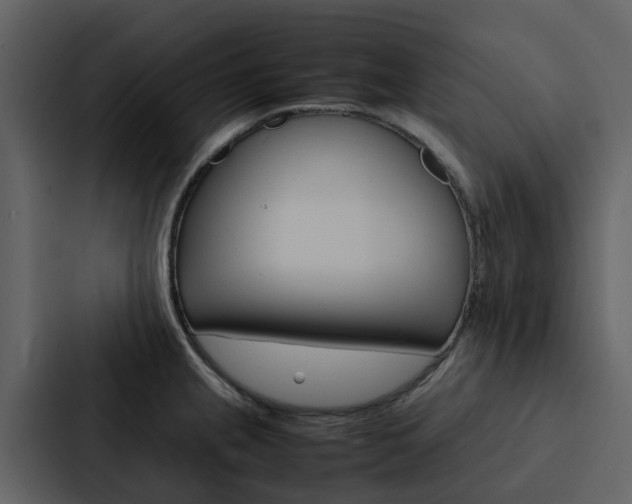 X0000088151237200705141045
