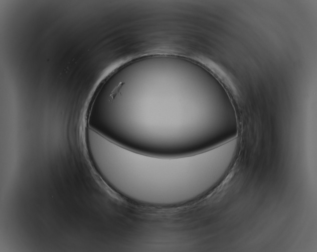 X0000088151238200705141045