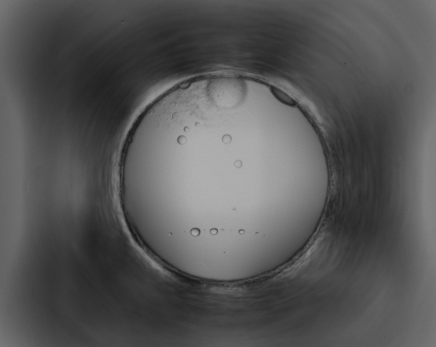 X0000088151239200705141045