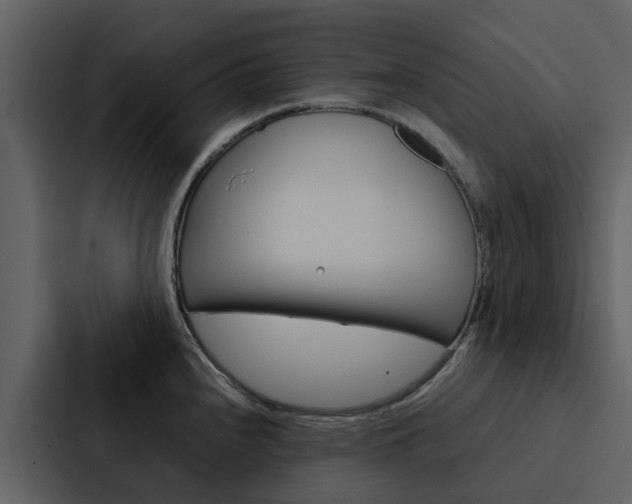 X0000088151240200705141045