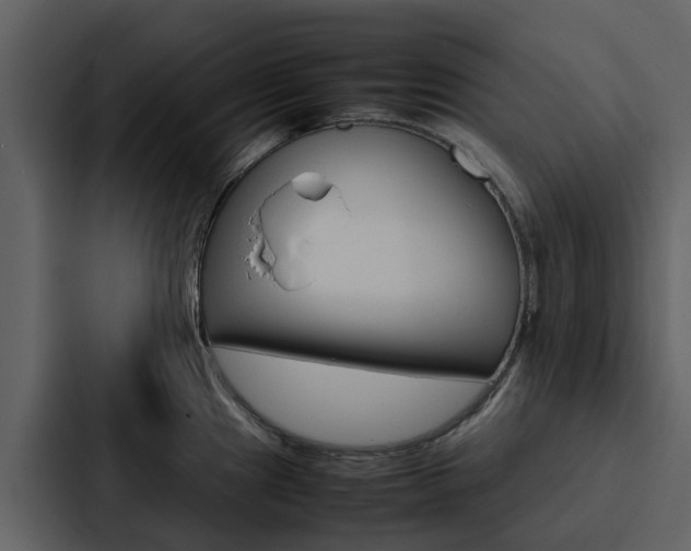 X0000088151241200705141045