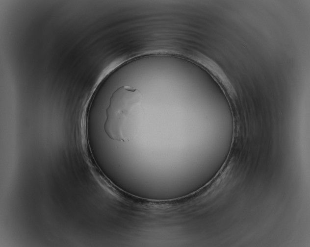 X0000088151242200705141045