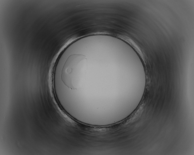 X0000088151243200705141045