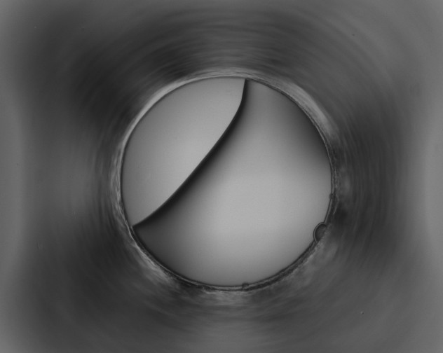 X0000088151244200705141045