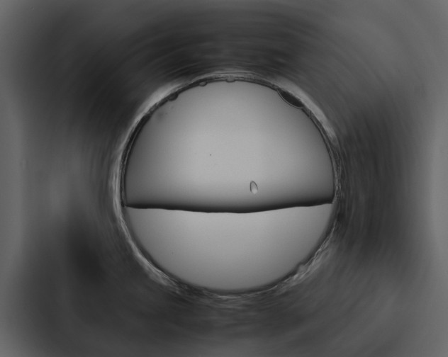 X0000088151245200705141045