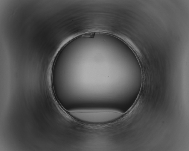 X0000088151246200705141045