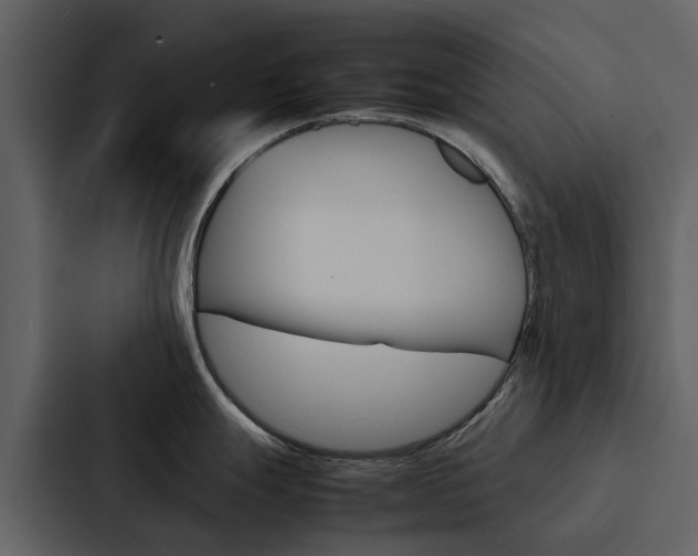 X0000088151247200705141045