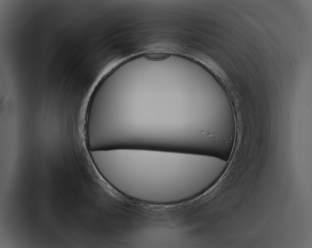 X0000088151248200705141045