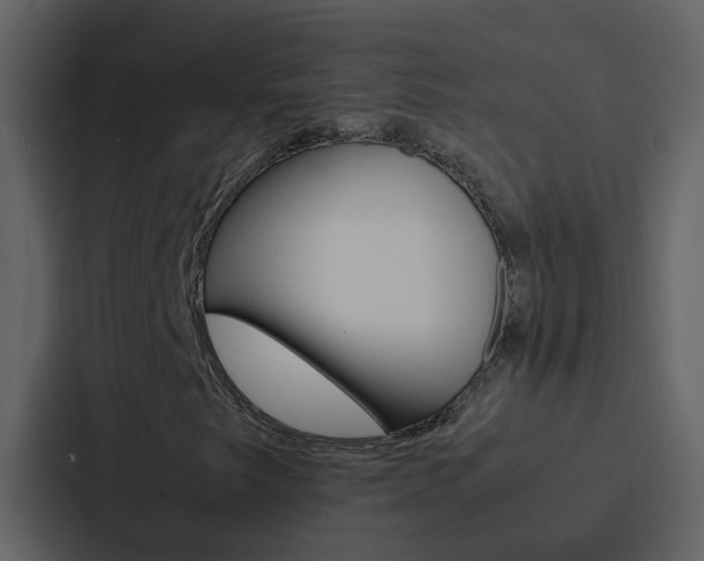 X0000088151249200705141044