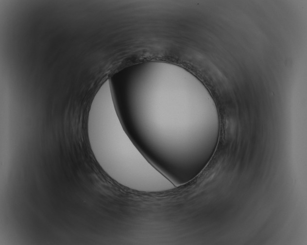 X0000088151250200705141044