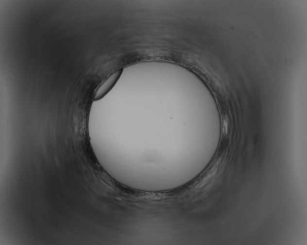 X0000088151251200705141044