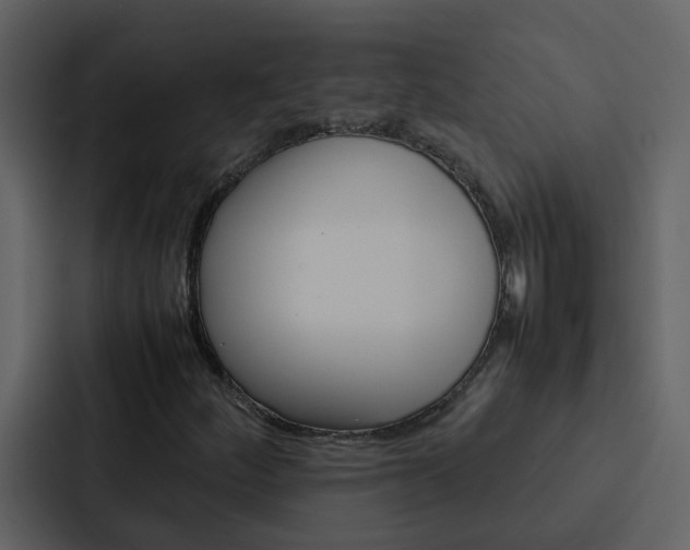 X0000088151252200705141044