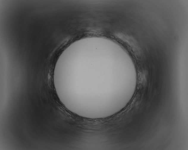 X0000088151254200705141044