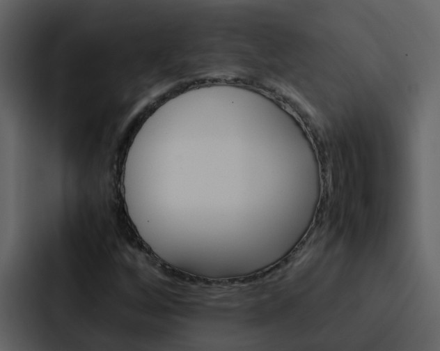 X0000088151256200705141044