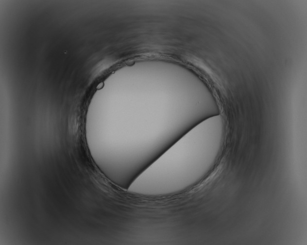 X0000088151259200705141044