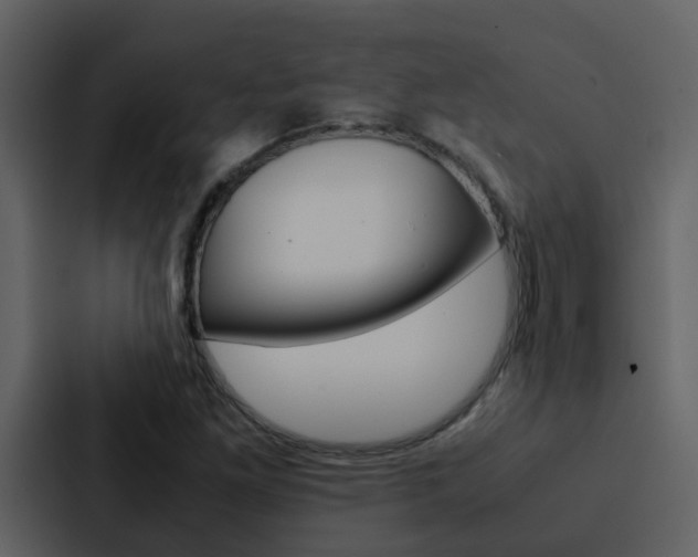 X0000088151261200705141044