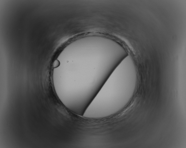 X0000088151263200705141044