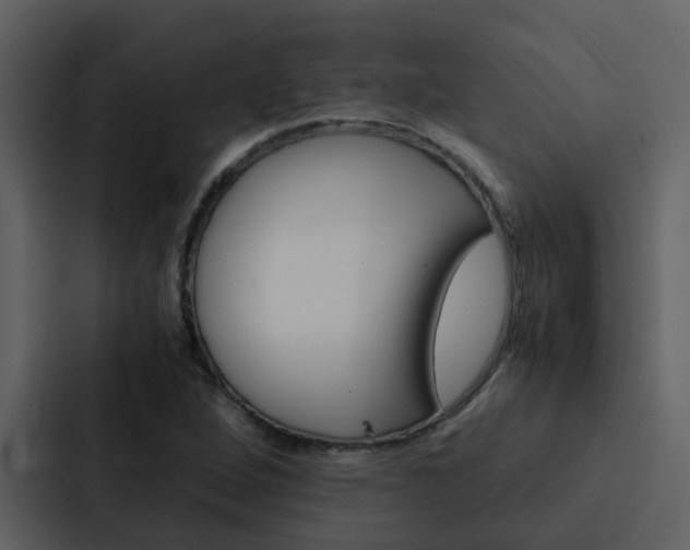 X0000088151264200705141044