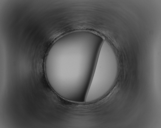X0000088151265200705141044
