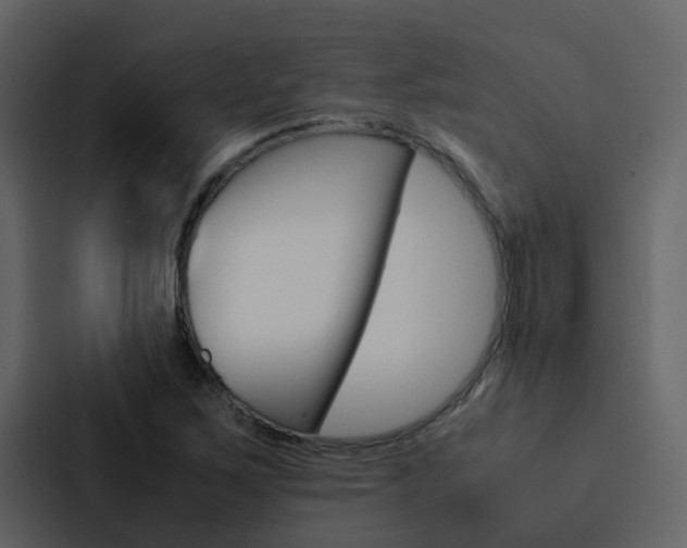 X0000088151267200705141044