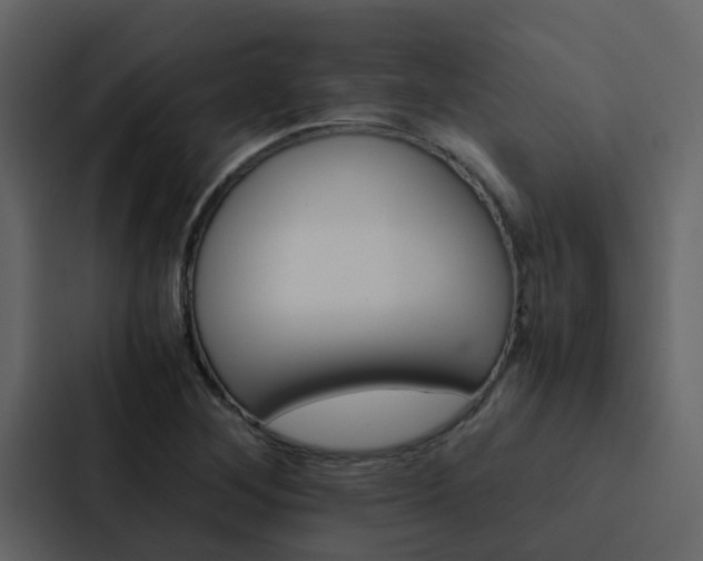 X0000088151268200705141044
