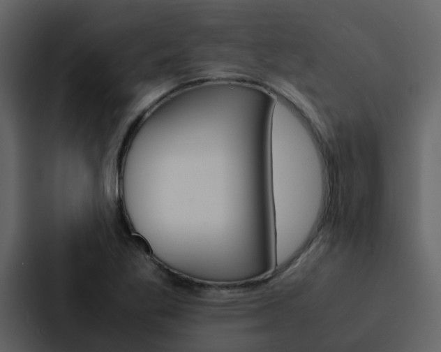 X0000088151269200705141044