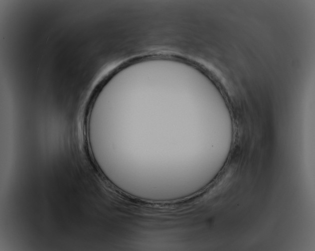 X0000088151271200705141044