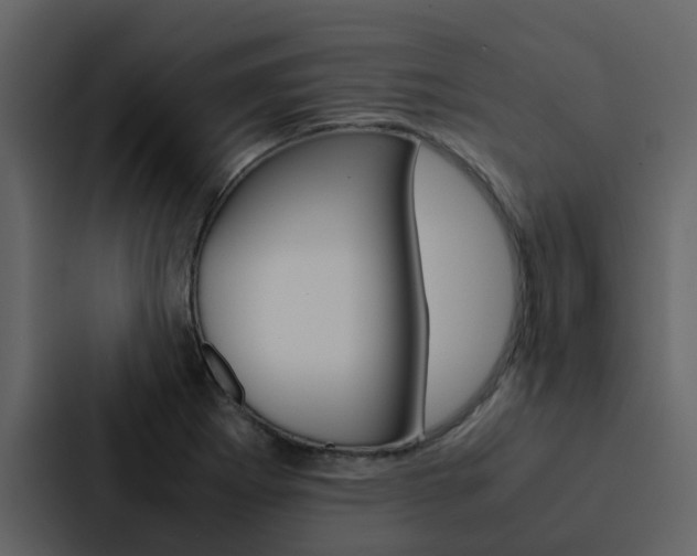 X0000088151273200705141044