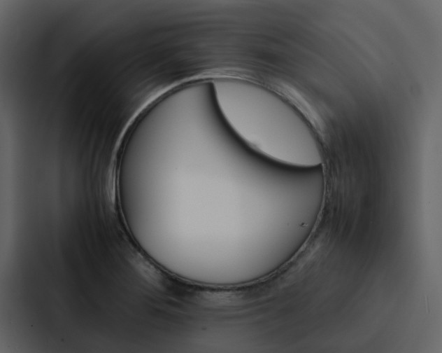X0000088151276200705141044