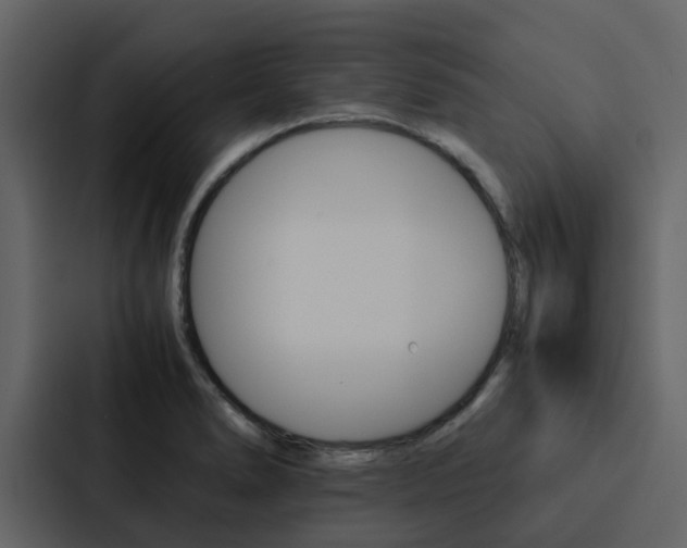 X0000088151278200705141044