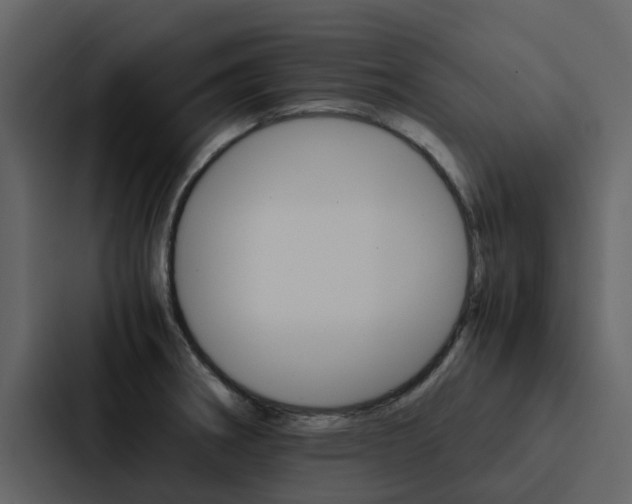 X0000088151282200705141044
