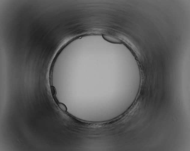 X0000088151283200705141044