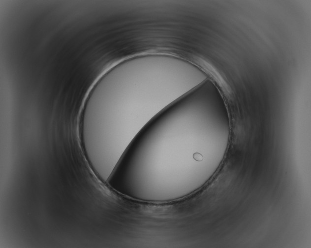 X0000088151284200705141044
