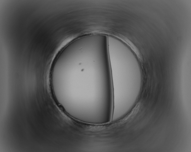 X0000088151285200705141044