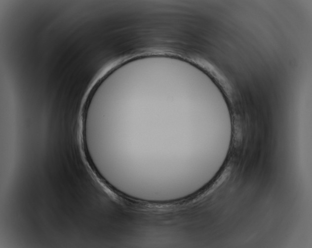X0000088151286200705141044