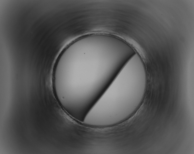 X0000088151288200705141044