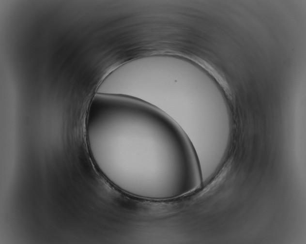 X0000088151289200705141044