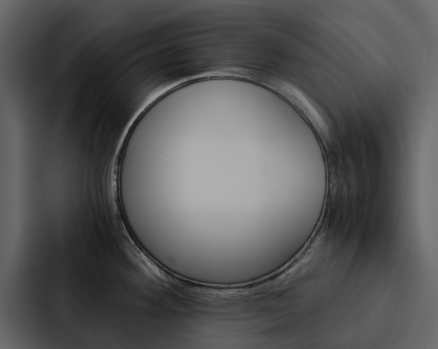 X0000088151292200705141044