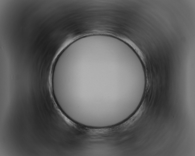 X0000088151294200705141044