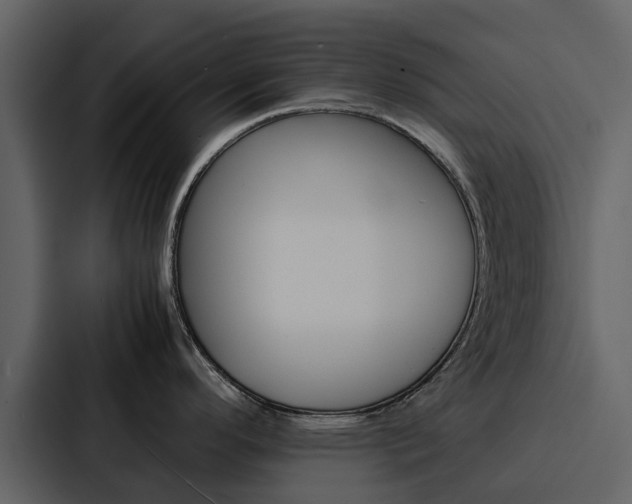 X0000088151296200705141044
