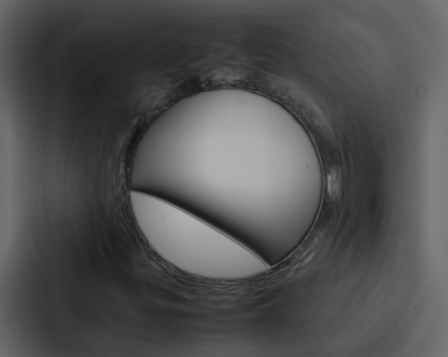 X0000088151299200705141043
