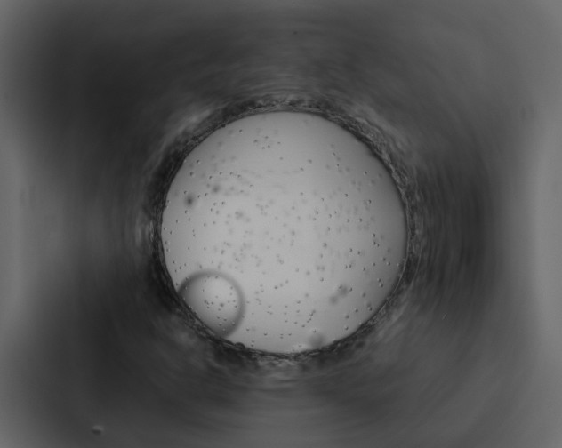 X0000088151302200705141043